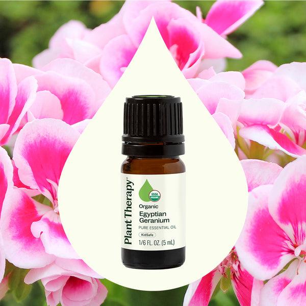 Plant Therapy Organic Egyptian Geranium Essential Oil