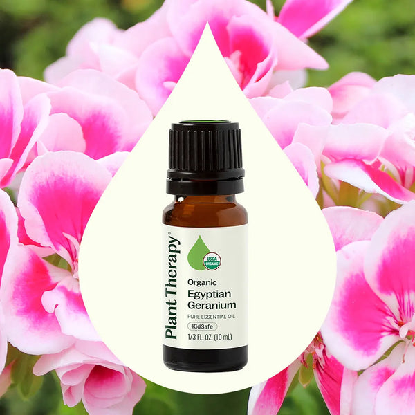 Plant Therapy Organic Egyptian Geranium Essential Oil