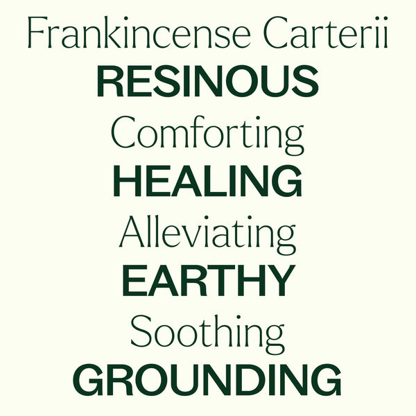 Plant Therapy Organic Frankincense Carterii Essential Oil