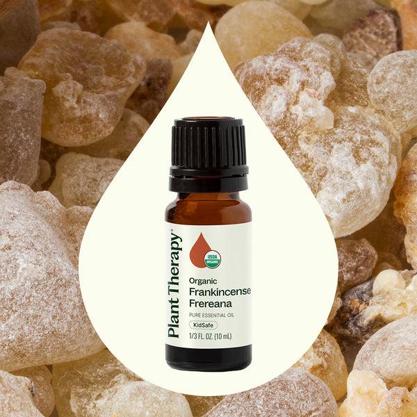 Plant Therapy Organic Frankincense Frereana Essential Oil