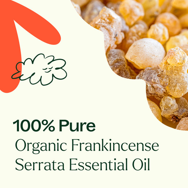 Plant Therapy Organic Frankincense Serrata Essential Oil