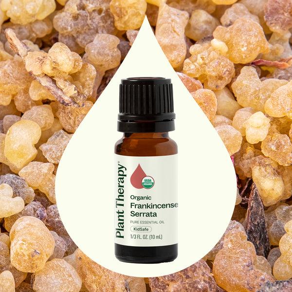 Plant Therapy Organic Frankincense Serrata Essential Oil