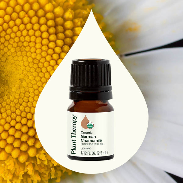 Plant Therapy Organic German Chamomile Essential Oil