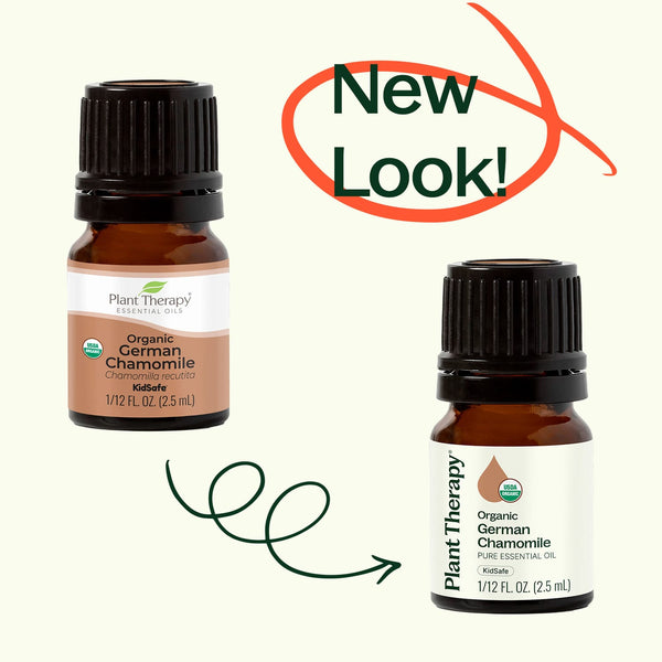 Plant Therapy Organic German Chamomile Essential Oil