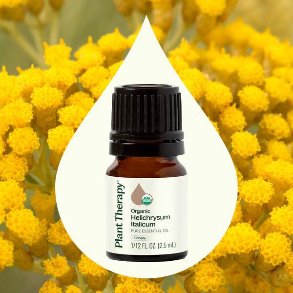 Plant Therapy Organic Helichrysum Italicum Essential Oil