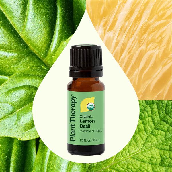 Plant Therapy Organic Lemon Basil Essential Oil Blend