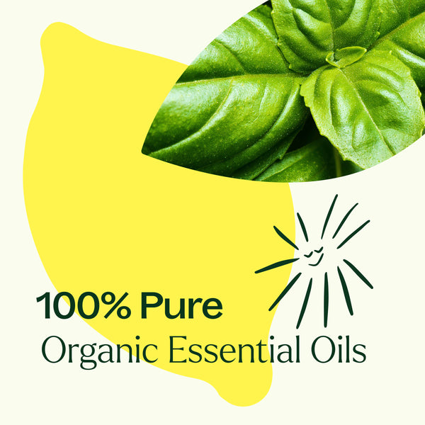 Plant Therapy Organic Lemon Basil Essential Oil Blend