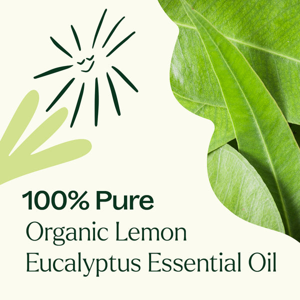 Plant Therapy Organic Lemon Eucalyptus Essential Oil