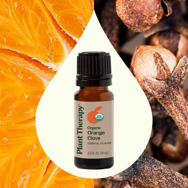 Plant Therapy Organic Orange Clove Essential Oil Blend