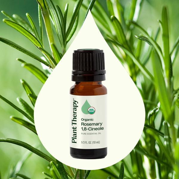 Plant Therapy Organic Rosemary 1 8-Cineole Essential Oil