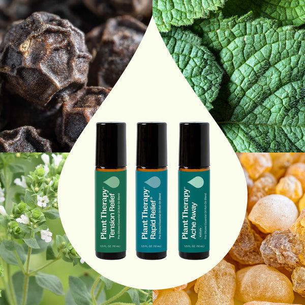 Plant Therapy Pain Support Essential Oil Blend Roll On Set