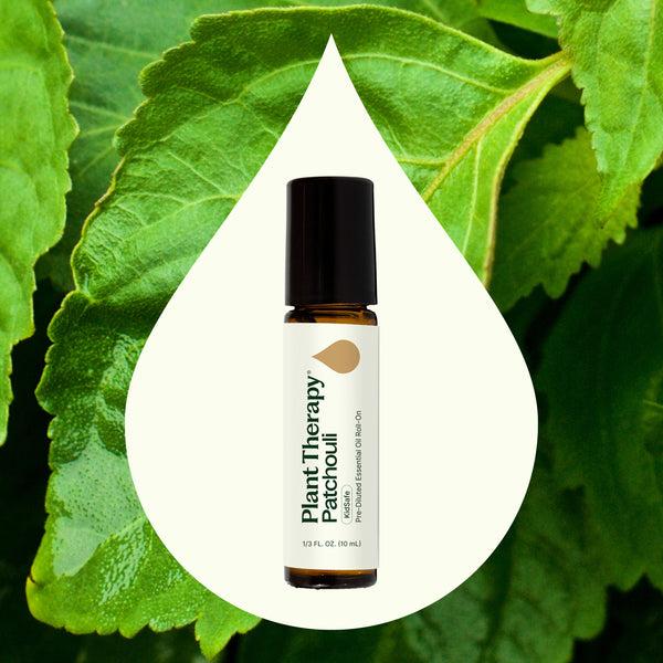 Plant Therapy Patchouli Essential Oil Pre-Diluted Roll-On
