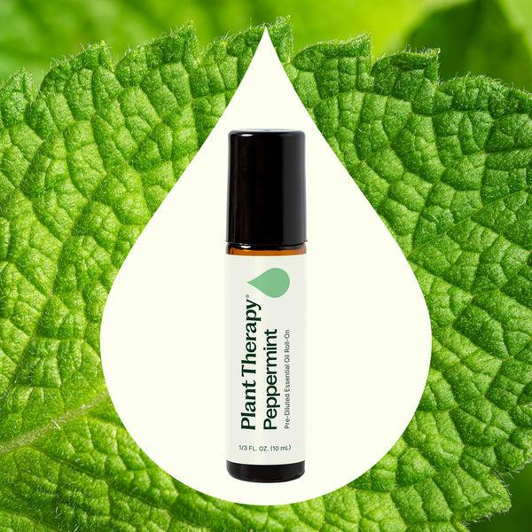 Plant Therapy Peppermint Essential Oil Pre-Diluted Roll-On