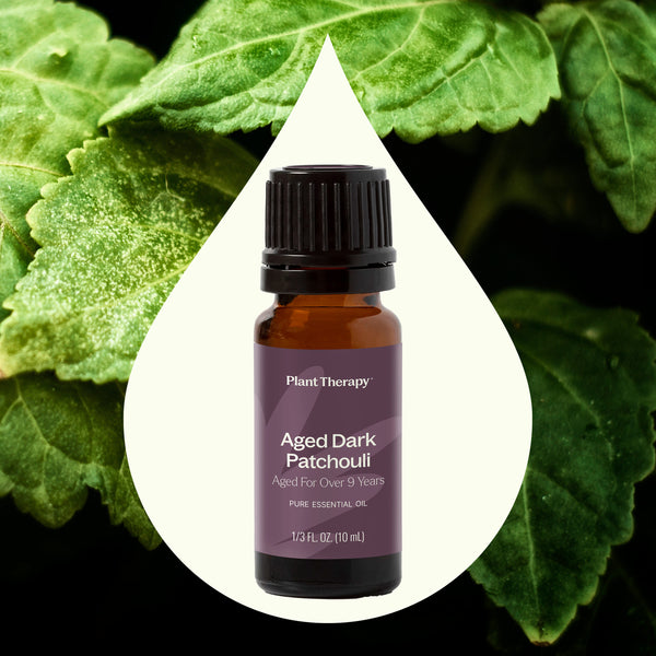 Plant Therapy Aged Dark Patchouli Essential Oil