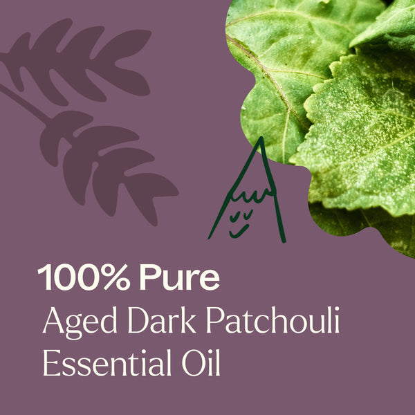 Plant Therapy Aged Dark Patchouli Essential Oil