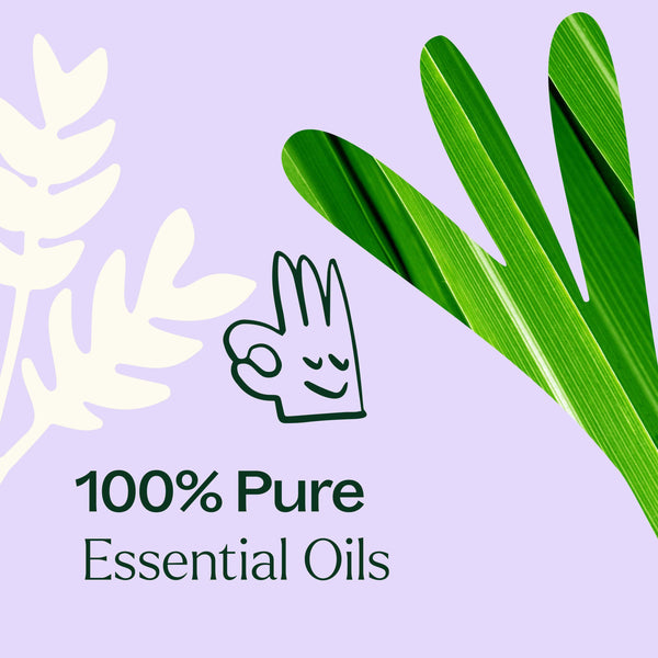 Plant Therapy Anti Age Essential Oil Blend