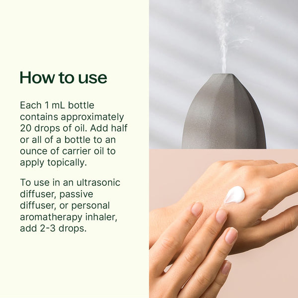 Plant Therapy Aroma Flight 10 Count Set