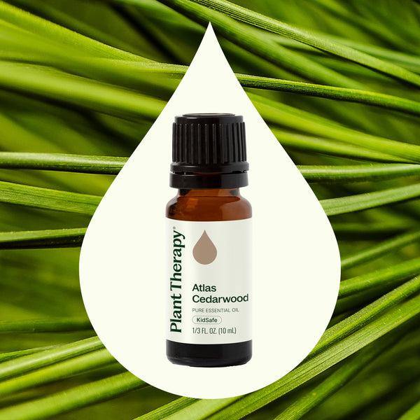Plant Therapy Atlas Cedarwood Essential Oil