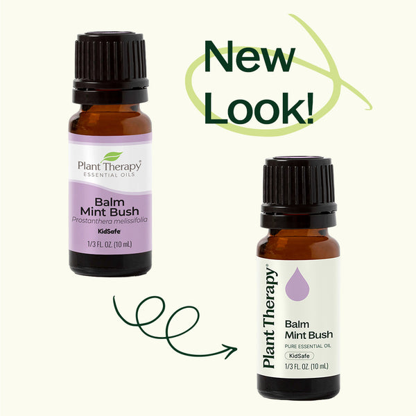 Plant Therapy Balm Mint Bush Essential Oil