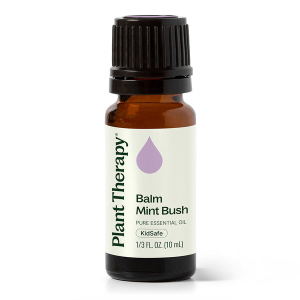 plant therapy Balm Mint Bush Essential Oil