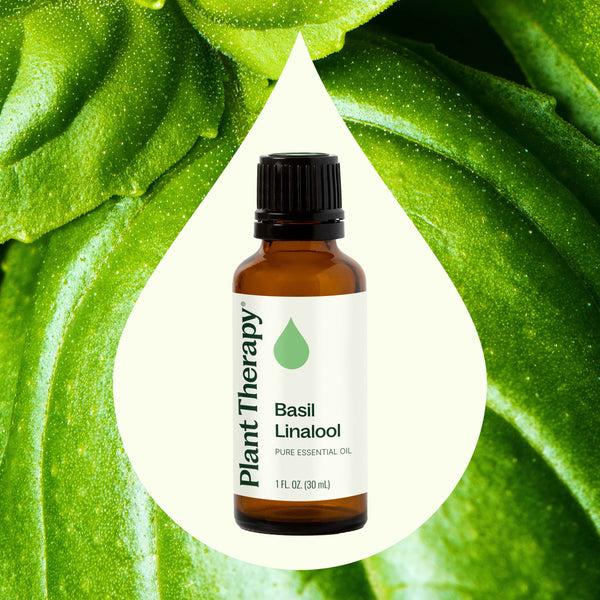 Plant Therapy Basil Linalool Essential Oil