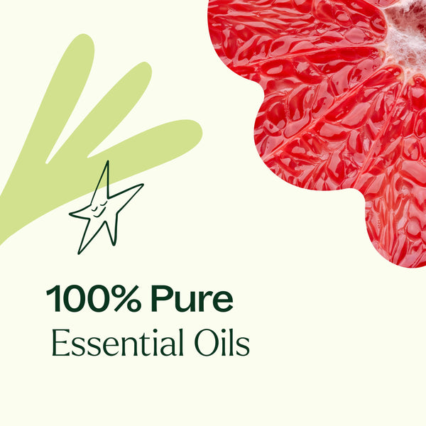 Plant Therapy Be Confident Essential Oil Blend