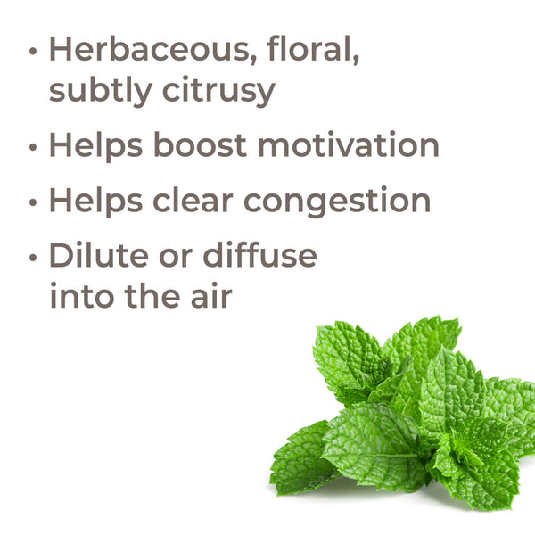 Plant Therapy Bergamot Mint Essential Oil