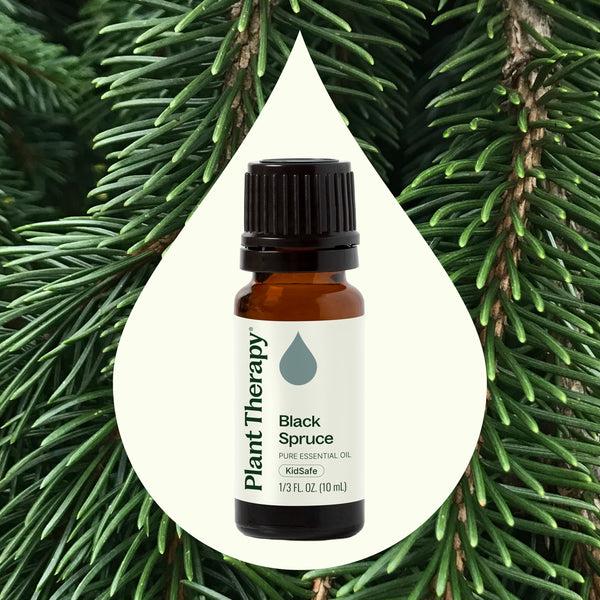 Plant Therapy Black Spruce Essential Oil