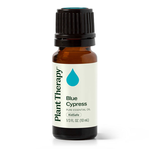 plant therapy Blue Cypress Essential Oil