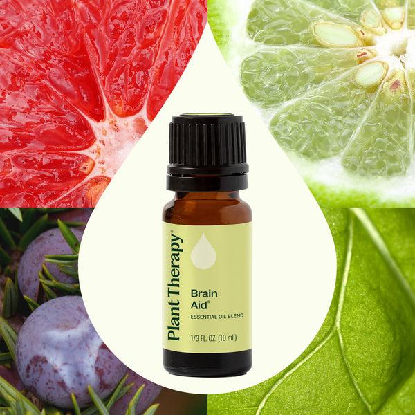Plant Therapy Brain Aid Essential Oil Blend