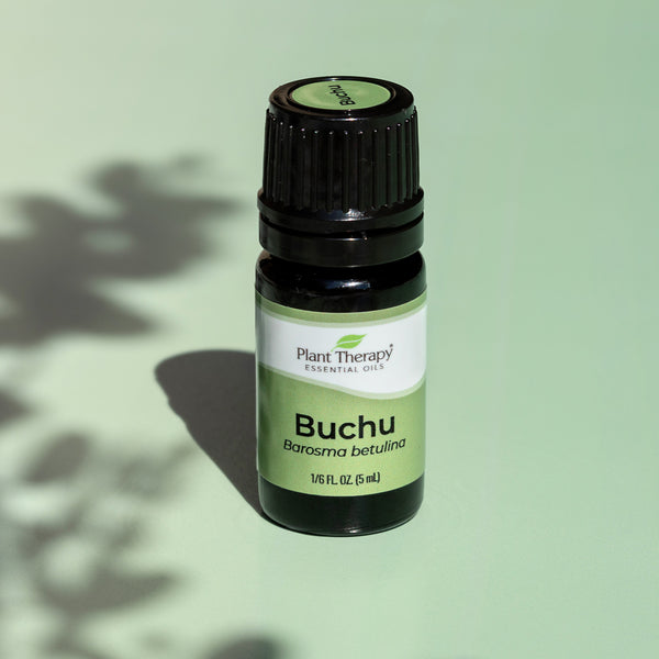 Plant Therapy Buchu Essential Oil
