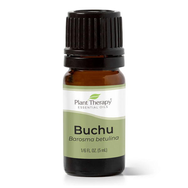 plant therapy Buchu Essential Oil