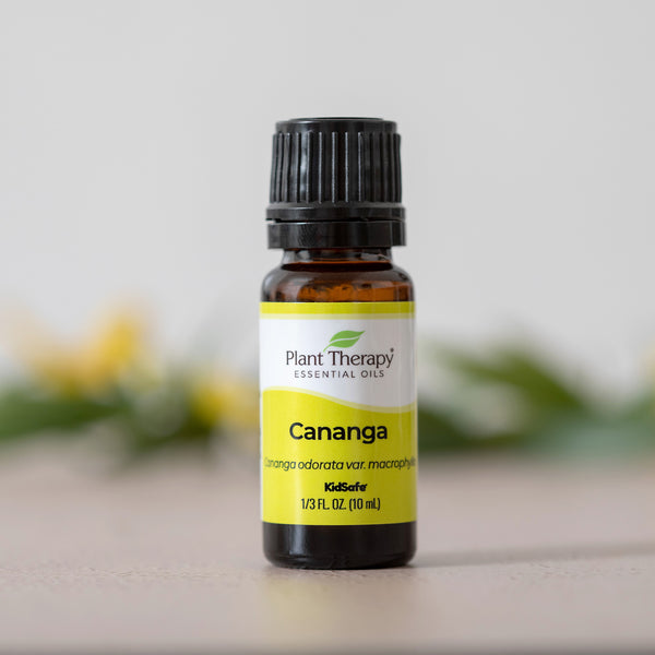 Plant Therapy Cananga Essential Oil