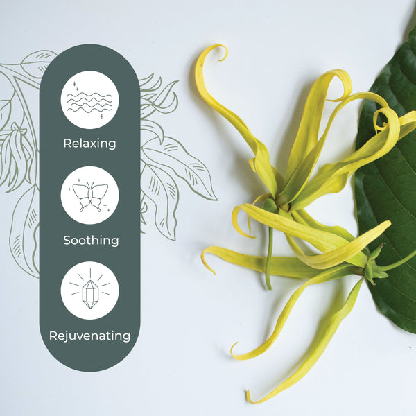 Plant Therapy Cananga Essential Oil