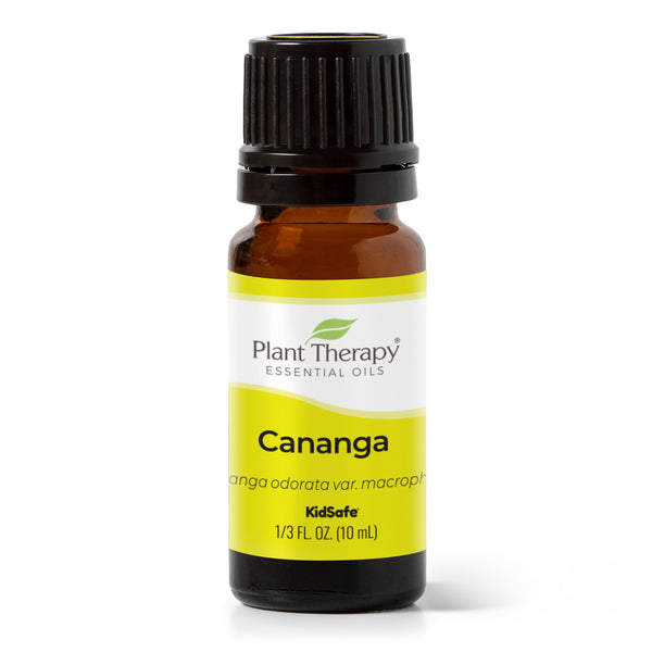 plant therapy Cananga Essential Oil