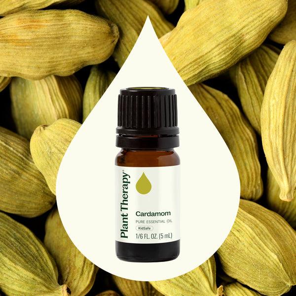 Plant Therapy Cardamom Essential Oil