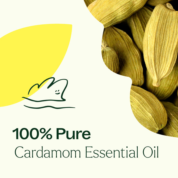 Plant Therapy Cardamom Essential Oil