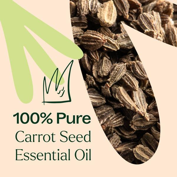 Plant Therapy Carrot Seed Essential Oil