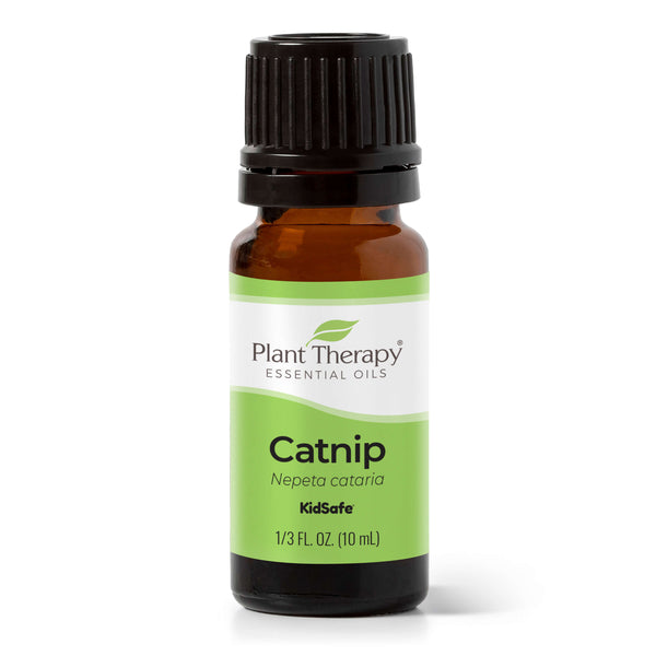 plant therapy Catnip Essential Oil