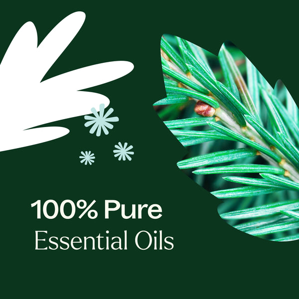 Plant Therapy Christmas Tree Essential Oil Blend