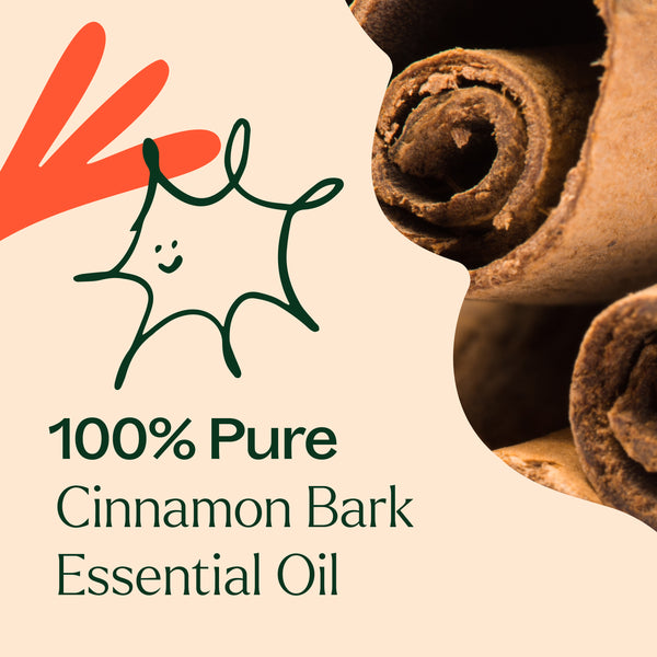 Plant Therapy Cinnamon Bark Essential Oil