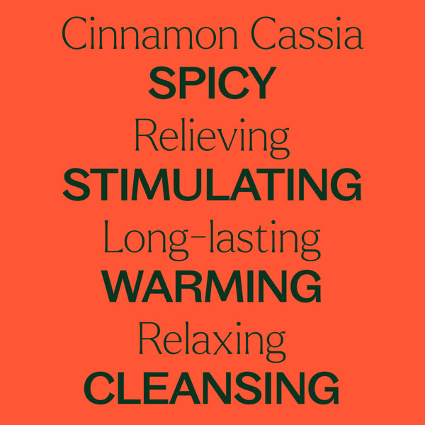 Plant Therapy Cinnamon Cassia Essential Oil