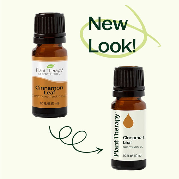 Plant Therapy Cinnamon Leaf Essential Oil