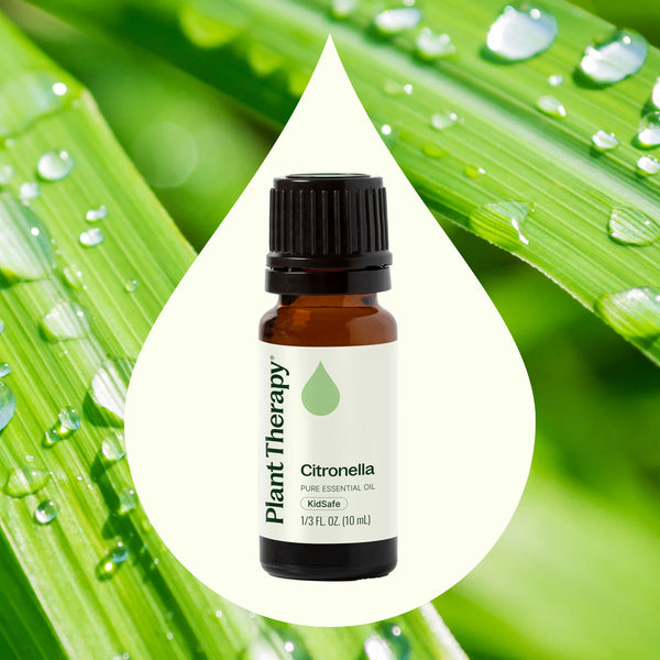 Plant Therapy Citronella Essential Oil
