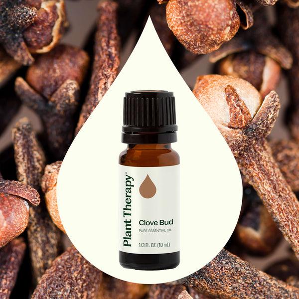 Plant Therapy Clove Bud Essential Oil
