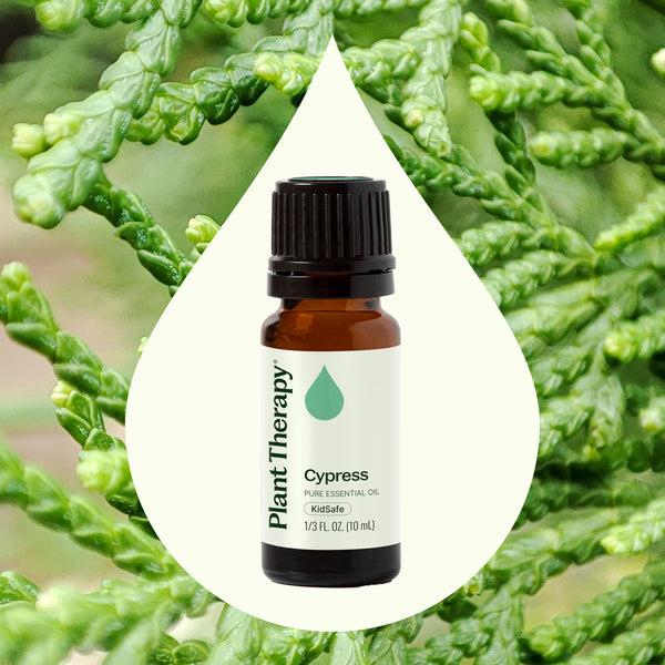 Plant Therapy Cypress Essential Oil