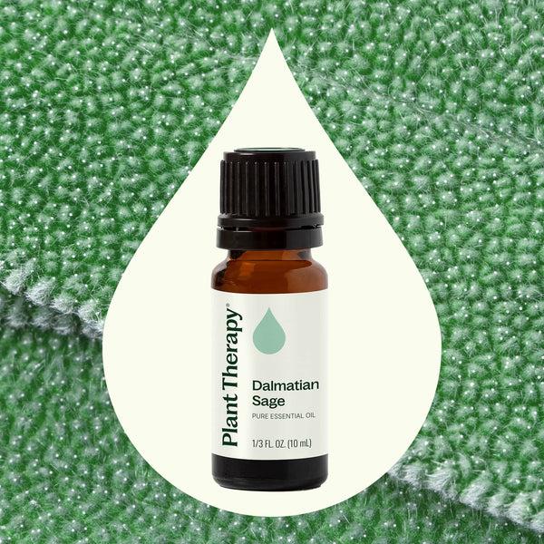 Plant Therapy Dalmatian Sage Essential Oil