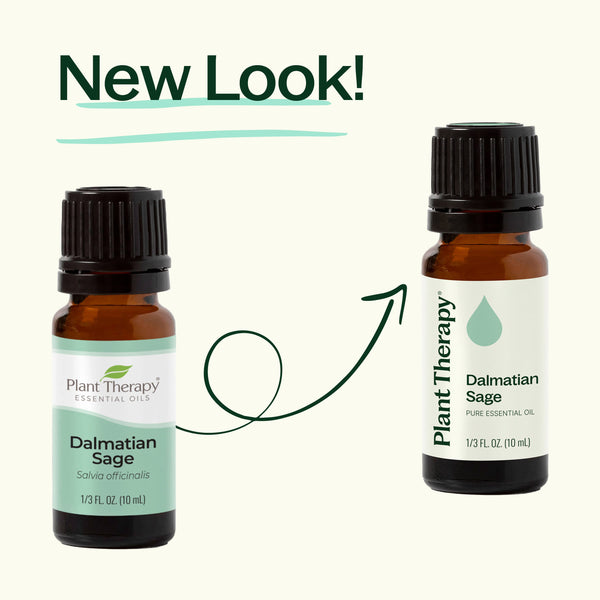 Plant Therapy Dalmatian Sage Essential Oil