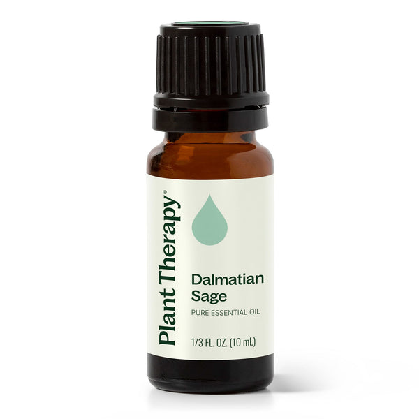 plant therapy Dalmatian Sage Essential Oil