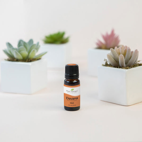 Plant Therapy Davana Essential Oil